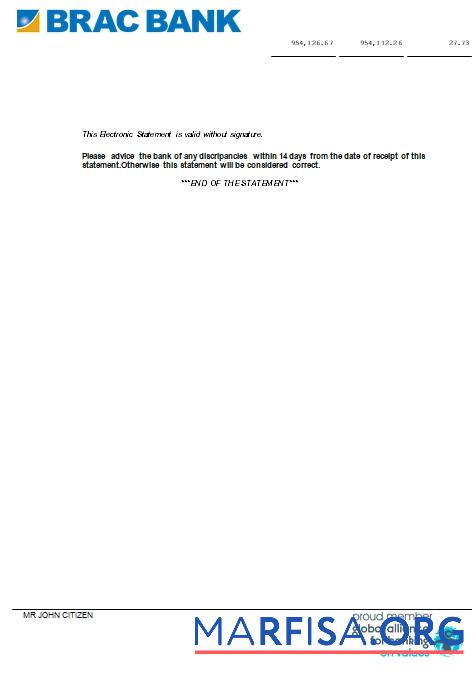 Blank Bangladesh BRAC bank statement word 7 page sample